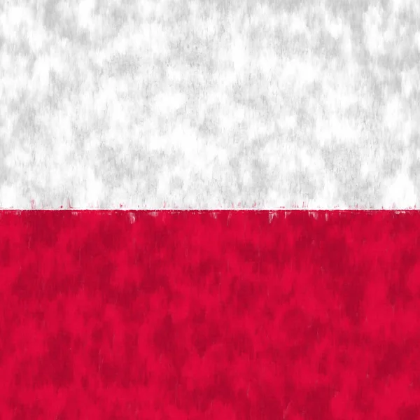 Polen Oljemålning Polska Emblem Ritning Duk Målad Bild Ett Lands — Stockfoto