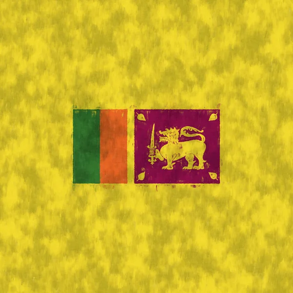 Sri Lanka Ölgemälde Sri Lanka Emblem Zeichnung Leinwand Ein Gemaltes — Stockfoto