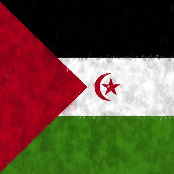 Sahara Occidental Pintura Óleo Sáhara Occidental Emblema Dibujo Lienzo Cuadro — Foto de Stock