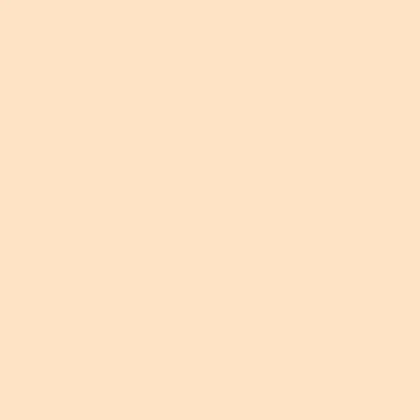 Bisque Arkaplanı Kusursuz Katı Renk Tonu Html Renkleri Hex Ffe4C4 — Stok fotoğraf