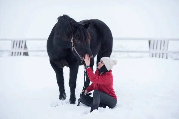 Ragazza Sta Con Cavallo Nero Nella Neve — Foto Stock