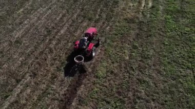 Çiftçi patatesleri küçük bir traktörle kazıyor.