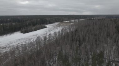 Napolyon ordusunun Berezina Nehri 'ndeki savaş alanının en üst görüntüsü. Yüksek kalite 4k görüntü