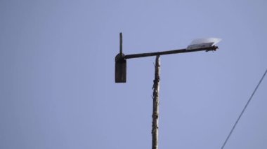 Dönen pervaneli ev yapımı rüzgar gülü. Yüksek kaliteli FullHD görüntüler