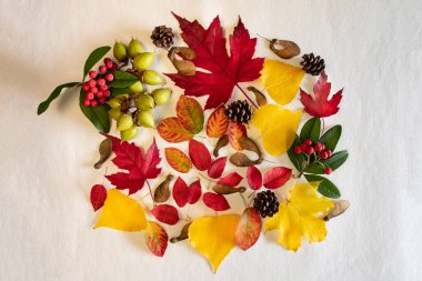 Sarı ve kırmızı sonbahar yapraklarının arkaplanı