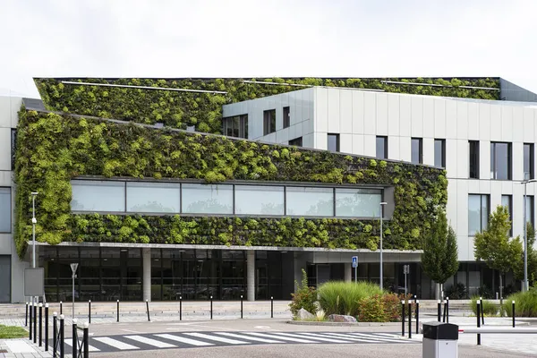 Зеленая Стена Больницы Страсбурге Франция — стоковое фото