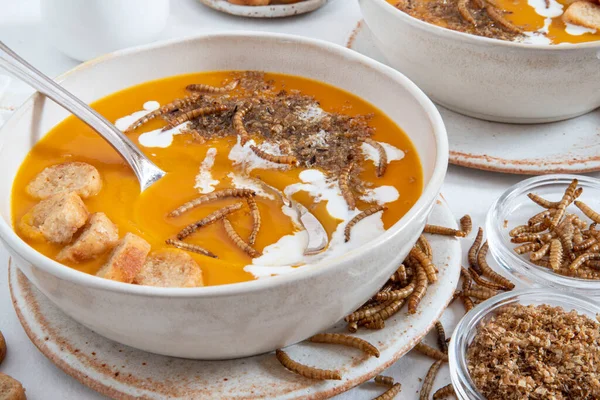 Close-up of edible insects in pumpkin soup, mealworms