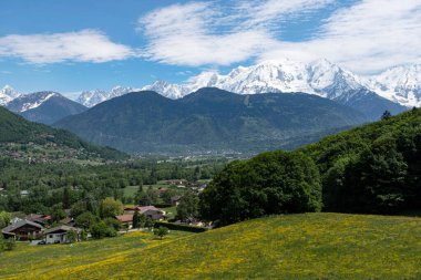 Ormanlı dağ manzarası ve arkasında Mont Blanc