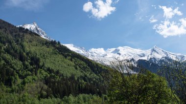 Ormanlı dağ manzarası ve arkasında Mont Blanc