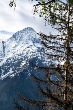 Mont Blanc ile Fransız Alplerinin manzarası