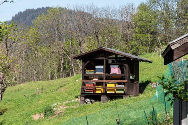Ev şeklindeki bir barınağın altında renkli arı kovanları