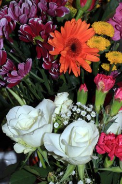 Botanik Arkaplan için Çiçeklere ve Yapraklara Çok Yakın