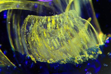 Çizgi ve Renkli Kağıt Ağırlığı 'ndan canlı bir Soyut Cam Girdap ve Kabarcıklar