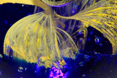 Çizgi ve Renkli Kağıt Ağırlığı 'ndan canlı bir Soyut Cam Girdap ve Kabarcıklar