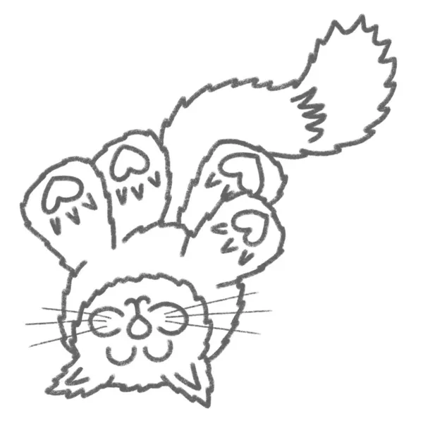 Roztomilé Kočičí Kočičí Packy Vzduchu Srdce Toe Beans Cartoon Illustration — Stock fotografie