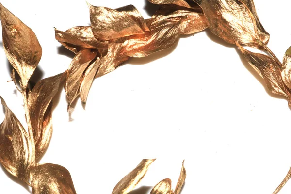 Dekorativní Zlaté Kovové Dřevo Větvičky Větve Zlaté Listy Bílém Pozadí — Stock fotografie