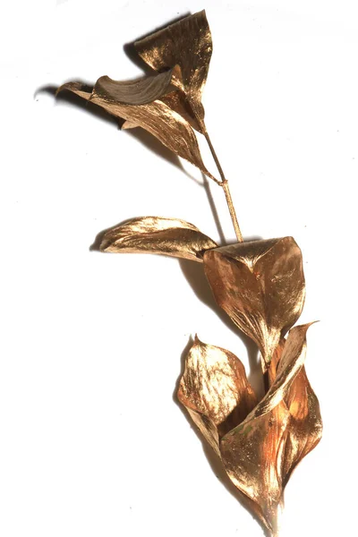 Decoratieve Gouden Metalen Houten Twijgen Takken Gouden Bladeren Witte Achtergrond — Stockfoto