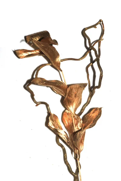 장식적 꼬챙이와 가지와 배경에 황금빛 — 스톡 사진