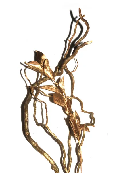 Декоративні Золоті Металеві Дрова Твіґи Гілки Золоті Листки Білому Тлі — стокове фото