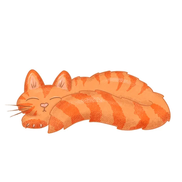 Desenhos Animados Fofos Bonitos Ilustração Caráter Gatinho Gato — Fotografia de Stock