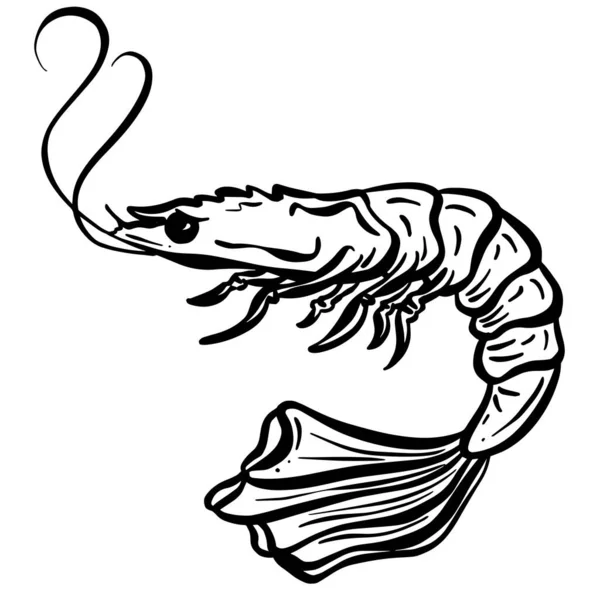 漫画の甲殻類エビロブスター魚ベクトルイラスト — ストックベクタ