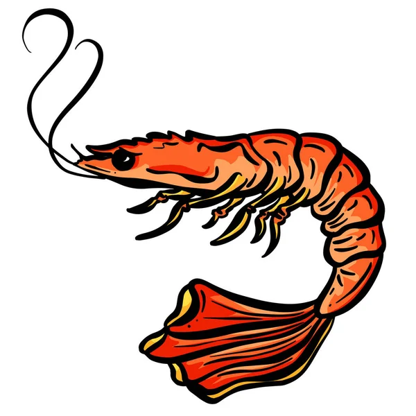 Cartoon Crustacean Shrimp Lobster Fish Vector Illustration — 스톡 벡터