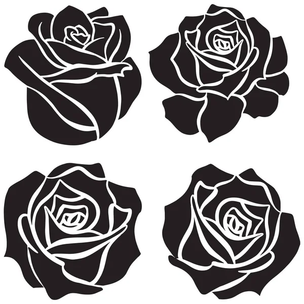 Цветок Черной Розы — стоковый вектор