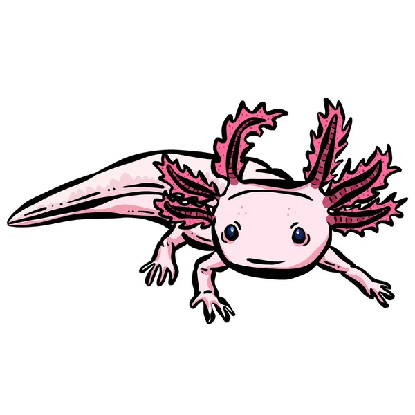 Axolotl Meer Kreatur Fisch Logo Illustration — Stockvektor
