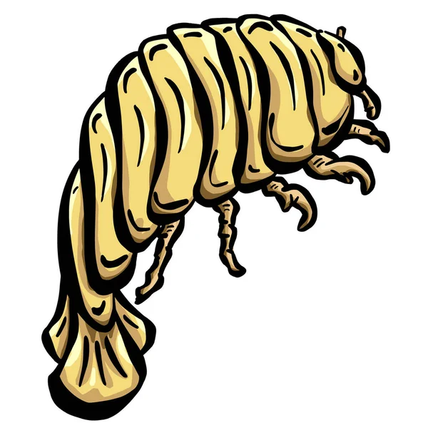 Isopod Woodlouse İllüstrasyon Logo Deniz Yaratığı