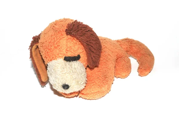 Nostalga Old Stuffed Soft Toy Puppy Dog Sleeping — Stock Photo, Image