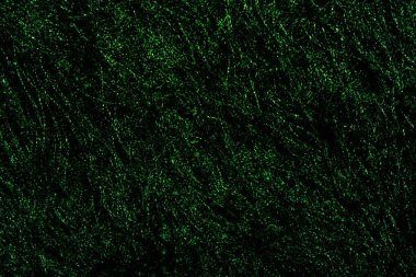 Bir Yumuşak Kürklü Yakın Arkaplan