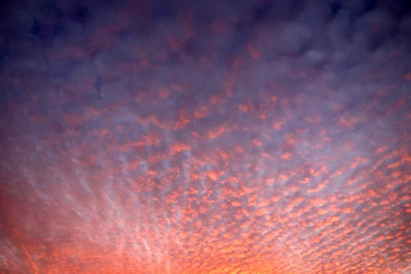 Lindo Pôr Sol Rosa Azul Com Nuvens Bolhas Mamíferos Brancos — Fotografia de Stock