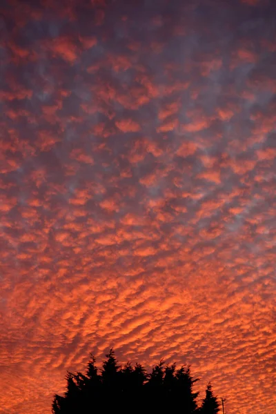 白いマママスバブル雲と美しいピンクと青の夕日 — ストック写真