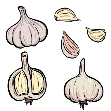 Çizgi film Stili Sarımsak Ampul ve Parça Koleksiyonu