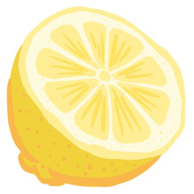 Dilimlenmiş Limon Meyvesi Çizimi