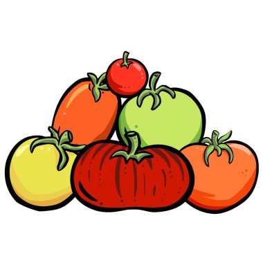 Bir Karikatür Farklı Domates Koleksiyonu Vektör Resimleri Üretir