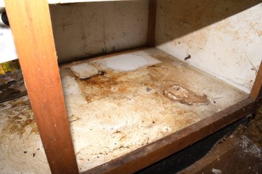 DIY konut onarımı.