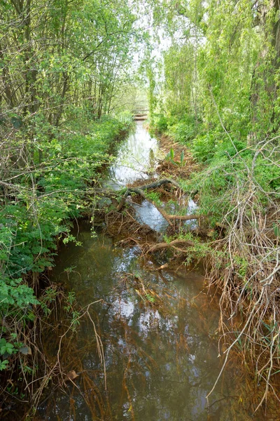 Bridge Beautiful Steam Spring English Meadow Walk Small Path — Stockfoto