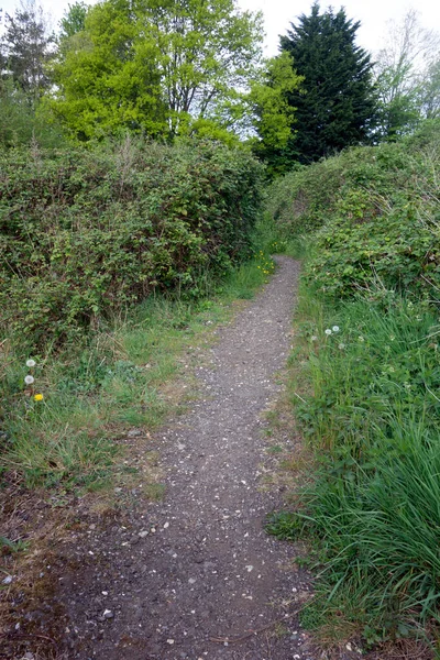 Beautiful English Green Countryside Meadow Pathway — Photo