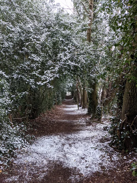 Une Promenade Hivernale Dans Une Petite Ruelle Boisée Dans Neige — Photo