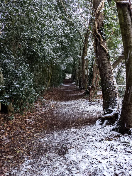 Une Promenade Hivernale Dans Une Petite Ruelle Boisée Dans Neige — Photo