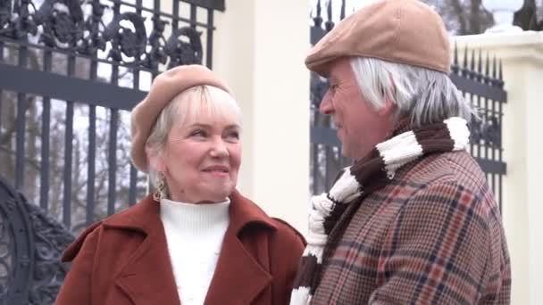 Seniorenpaar Beim Winterspaziergang — Stockvideo