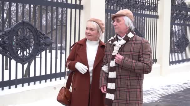 Slow Motion Happy Senior Couple Walking Outdoors Winter Day — Video