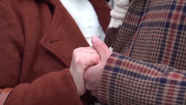 Man Woman Holding Hands Each Other While Walking Outdoors — Vídeo de stock