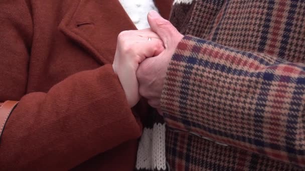 Slow Motion Close Elderly Couple Holding Hands Walking Outdoors — 图库视频影像