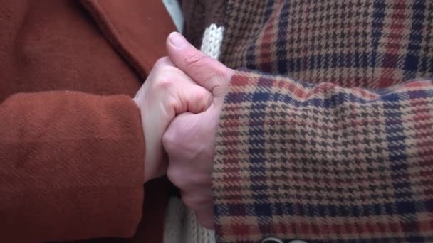 Close Arms Pretty Old Married Couple Holding Hands Gentleness — Stockvideo