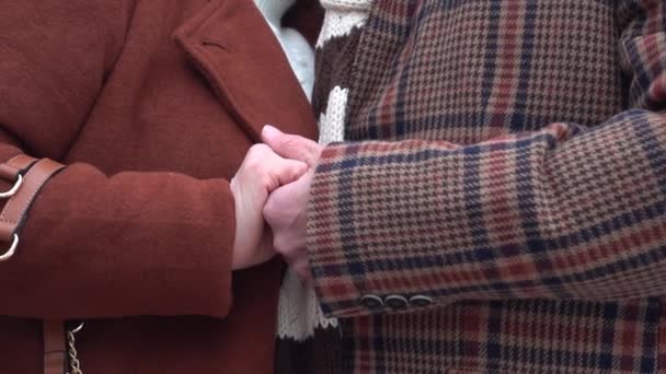 Slow Motion Caucasian Retired Grandparents Holding Hands — 图库视频影像