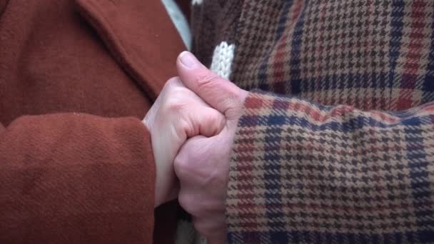 Slow Motion Elderly Couple Holding Hands Autumn Park — Stockvideo