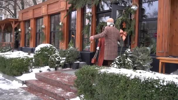 Senior Couple Winter Walk Frosty City — Stock video