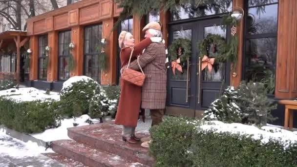 Slow Motion Handsome Senior Couple Embracing Park — Video Stock